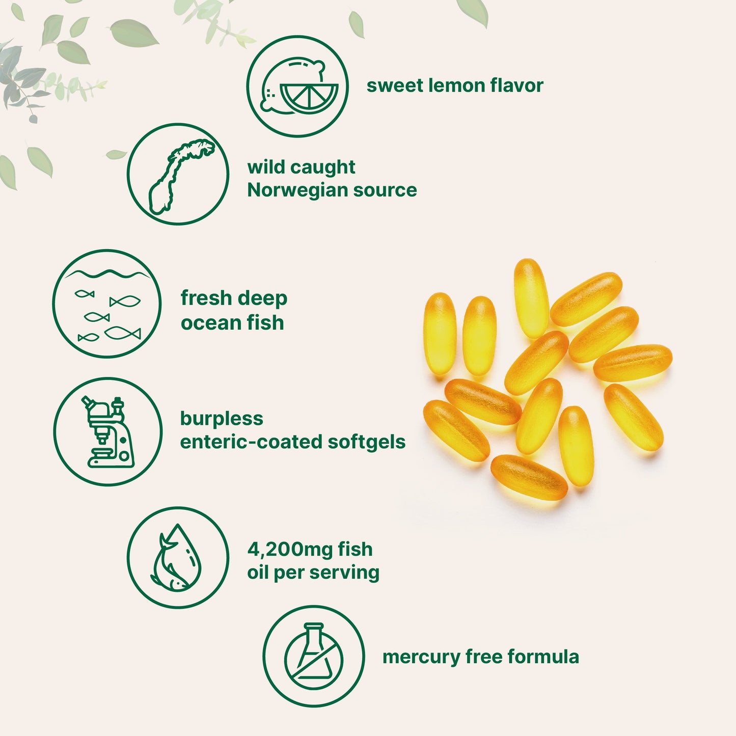 Boise Brooke's Choice Bundle: Vitamin D3K2 5000IU & Omega Fish Oil 120 Softgels