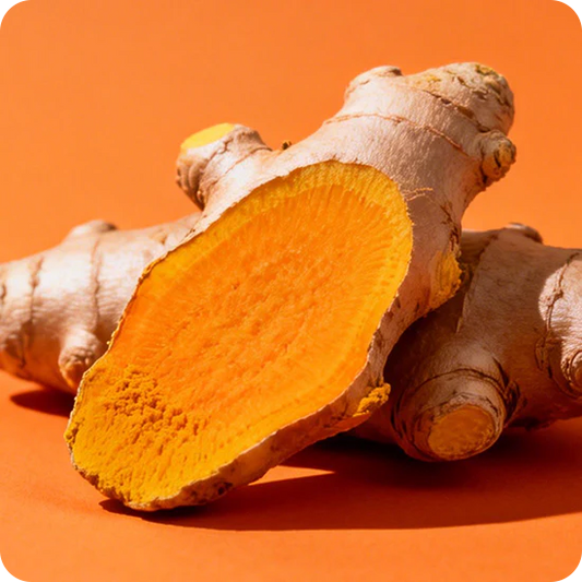 The Power of Micro Ingredients Turmeric Curcumin 95% – Inflammation Relief Backed by Science