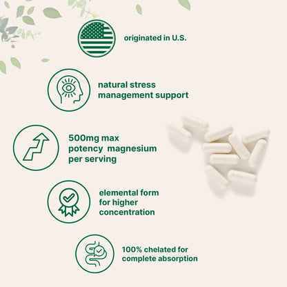 Micro Ingredients Magnesium Glycinate 500mg - Pure & High Potency