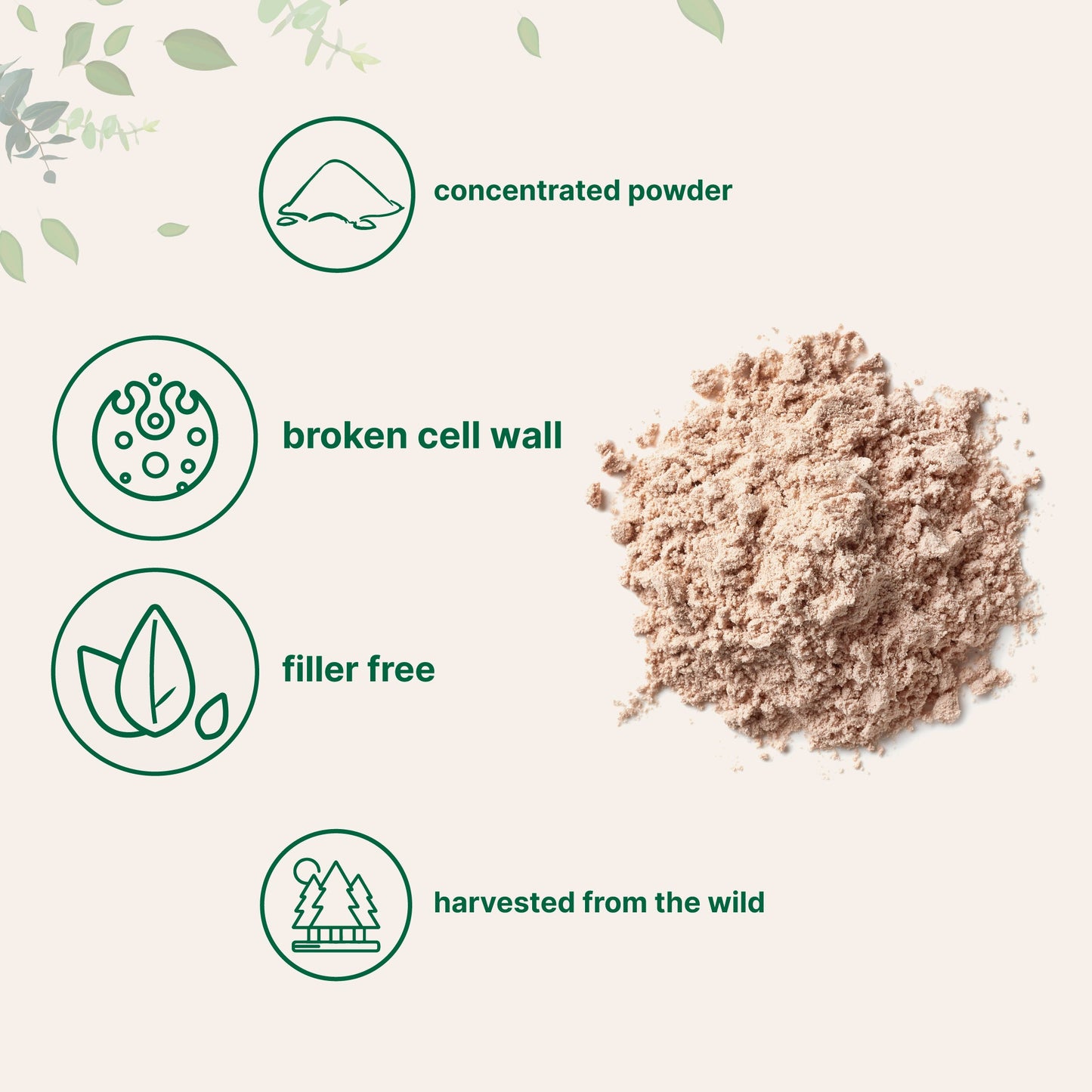 Micro Ingredients Pine Pollen Powder, 6 oz