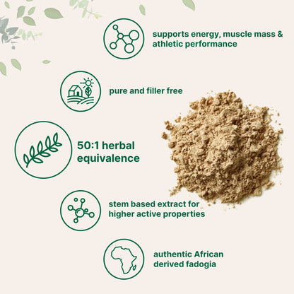 Micro Ingredients Fadogia Agrestis 50:1 Stem Extract Powder, 4oz