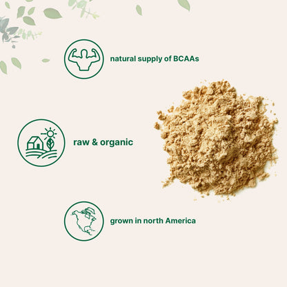 Micro Ingredients Organic Pea Protein Powder 2.2 Pound