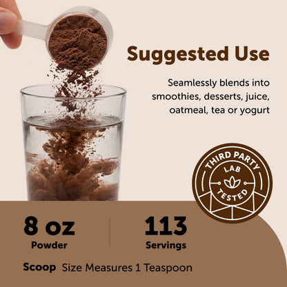 Micro Ingredients Organic Ceylon Cinnamon Powder