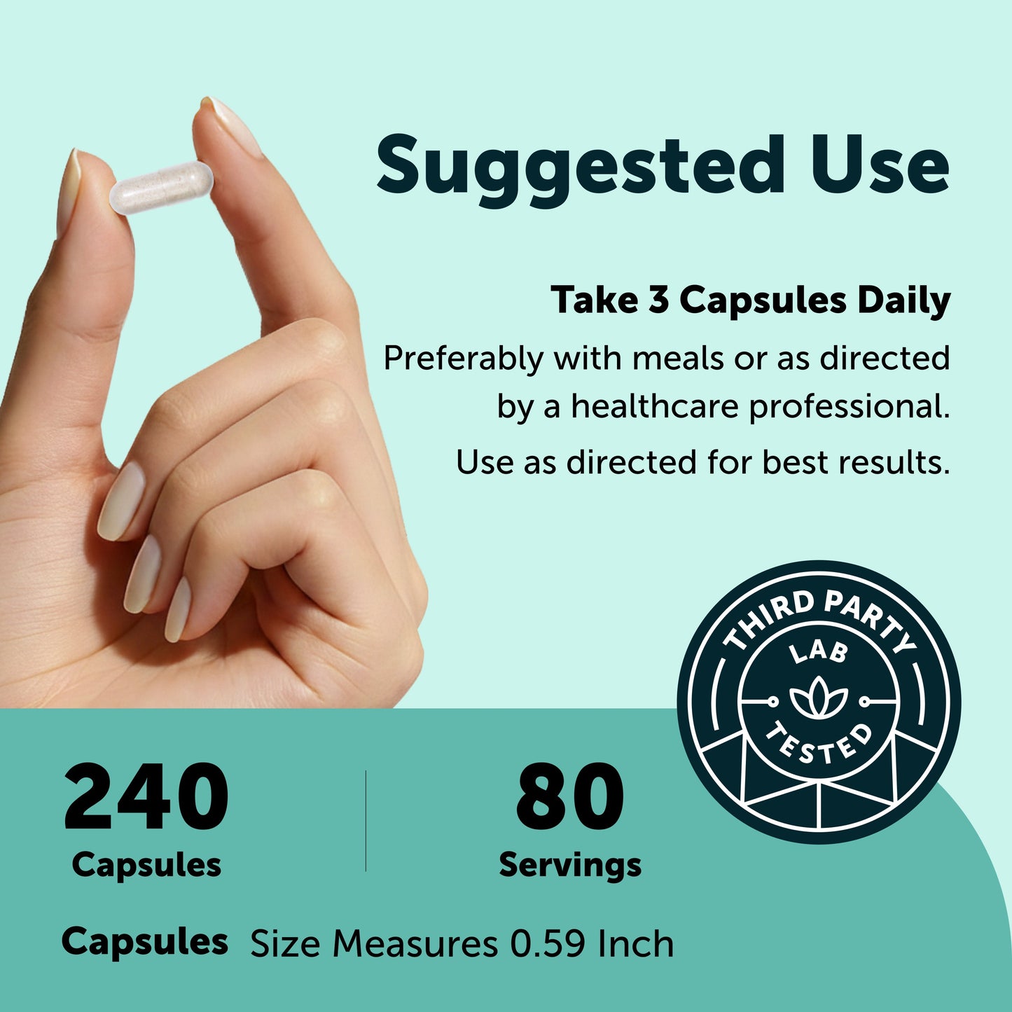 Micro Ingredients Phosphatidyl Serine 600mg, 240 Capsules