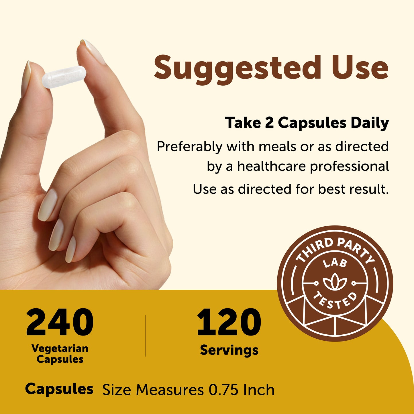 Micro Ingredients Bariatric Multivitamin with 45mg Iron, 240 Veggie Capsules