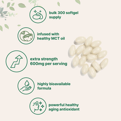 Micro Ingredients Alpha Lipoic Acid 600mg, 300 Softgels