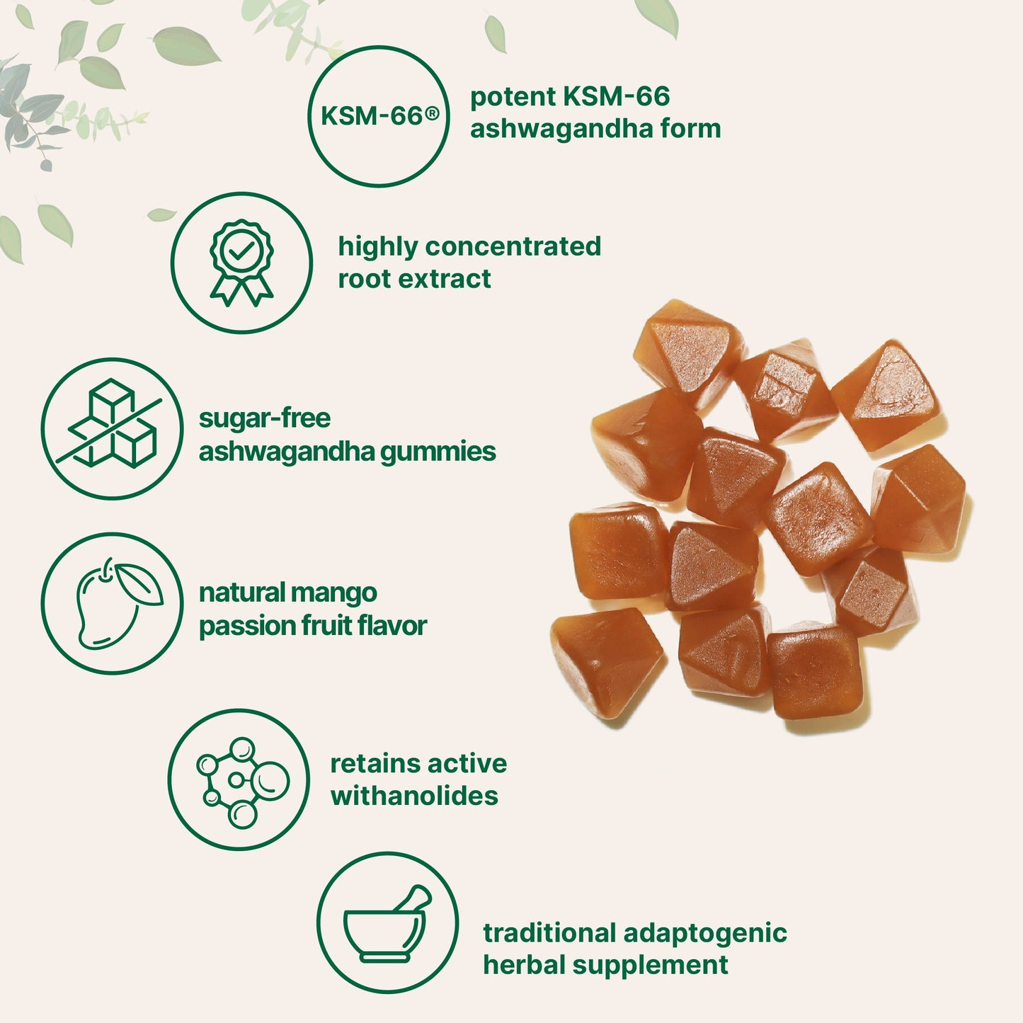 Micro Ingredients KSM-66 Ashwagandha Gummies 300mg, 120 Count