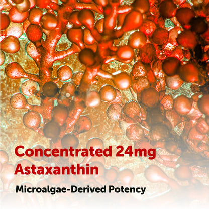 Micro Ingredients Astaxanthin 24mg Softgels