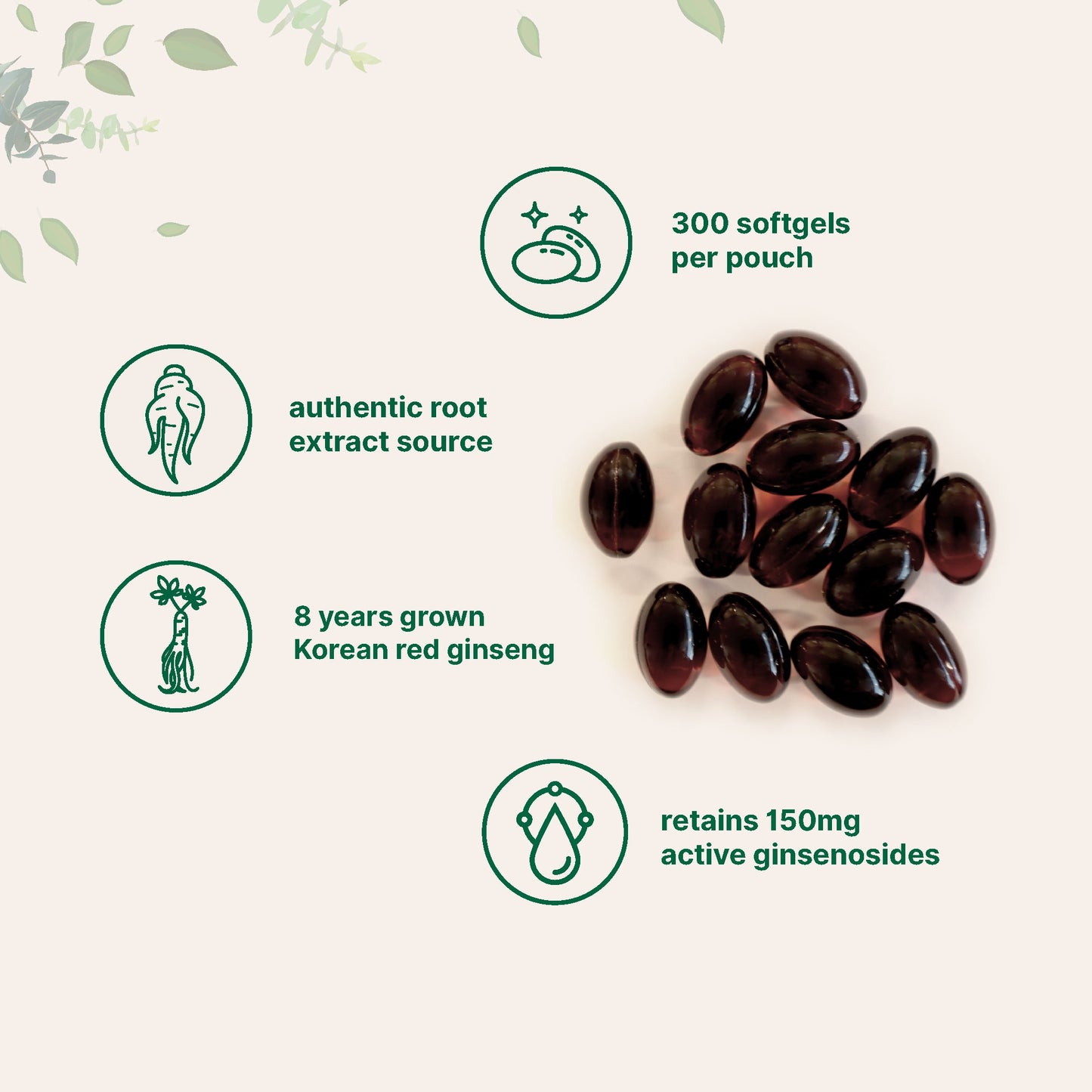 Micro Ingredients Panax Ginseng, 300 Softgels