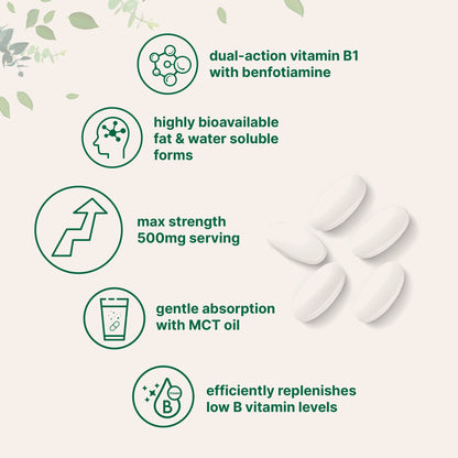 Micro Ingredients Vitamin B1 500mg with Benfotiamine with MCT Oil, 240 softgels