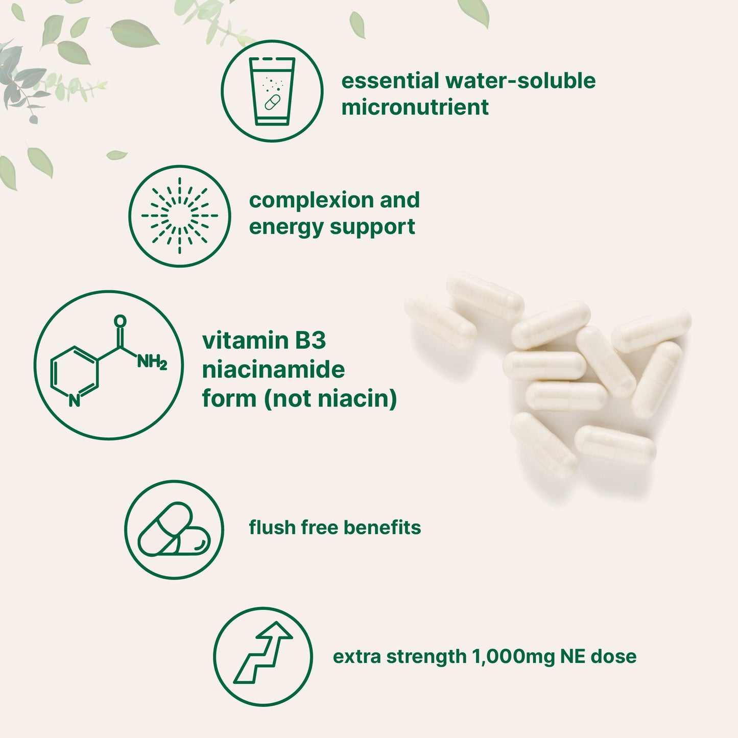 Micro Ingredients Vitamin B3 Niacinamide, 400 Capsules