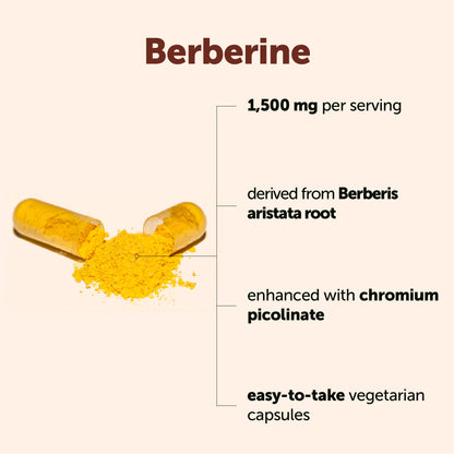 Micro Ingredients Berberine with Ceylon Cinnamon 1500mg + Chromium, 240 Vegetarian Capsules