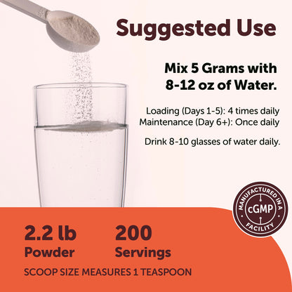 Micro Ingredients Micronized Creatine Monohydrate Powder - Unflavored