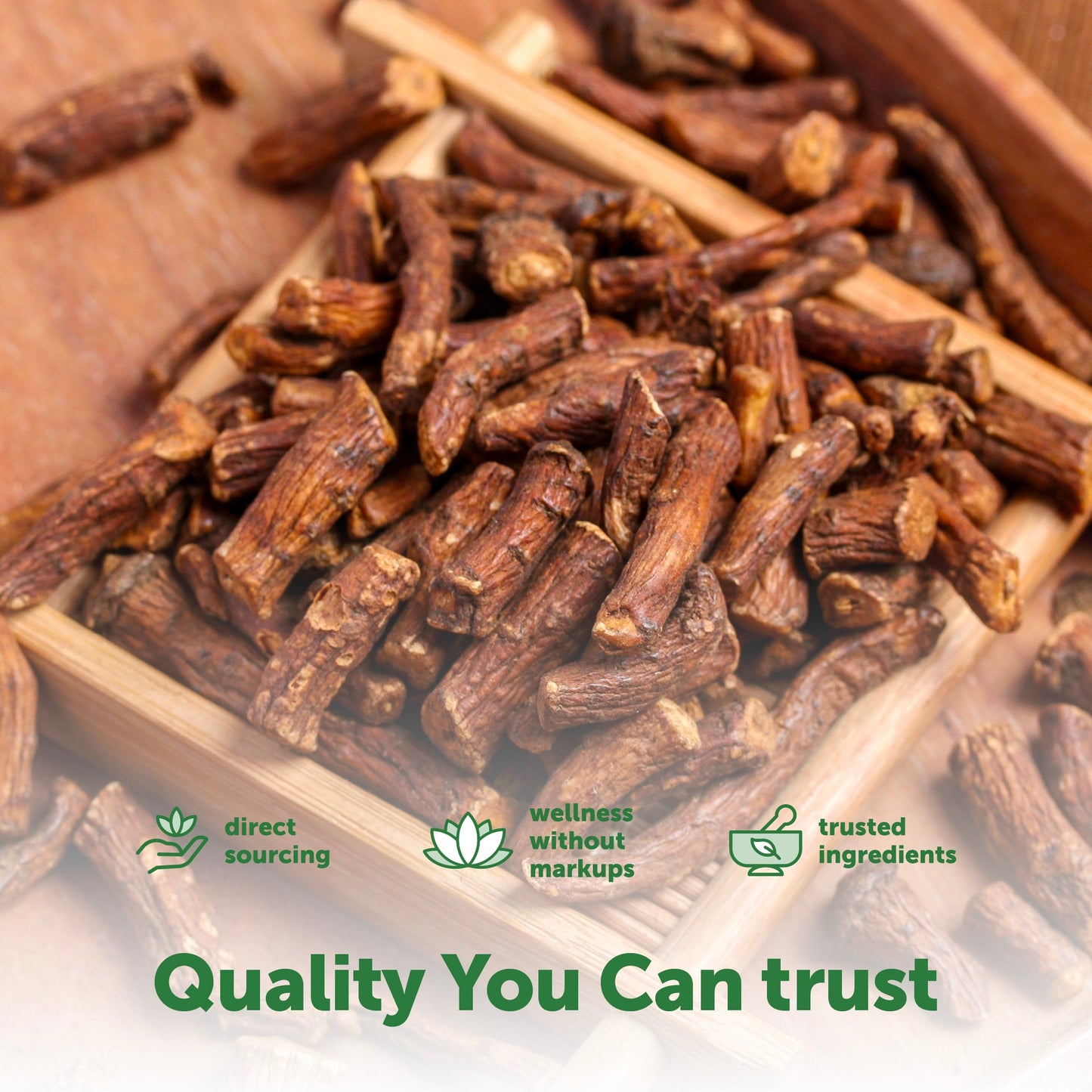 Micro Ingredients Organic Dandelion Root Extract Powder