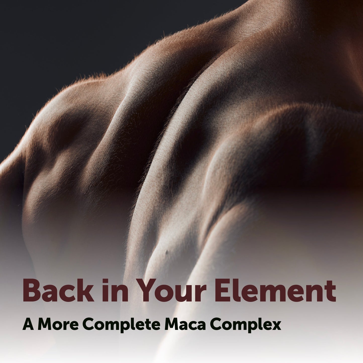 Micro Ingredients Maca Root 10-in-1 Complex with Pumpkin Seed Oil, 300 Softgels