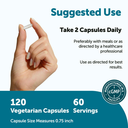 Micro Ingredients Men's Probiotics 40 strains 100 billion CFU, 120 Vegetarian Capsules