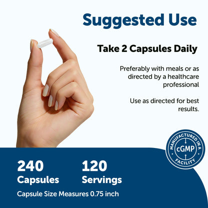 Micro Ingredients Pure Methylated Multivitamin for Men, 240 Capsules