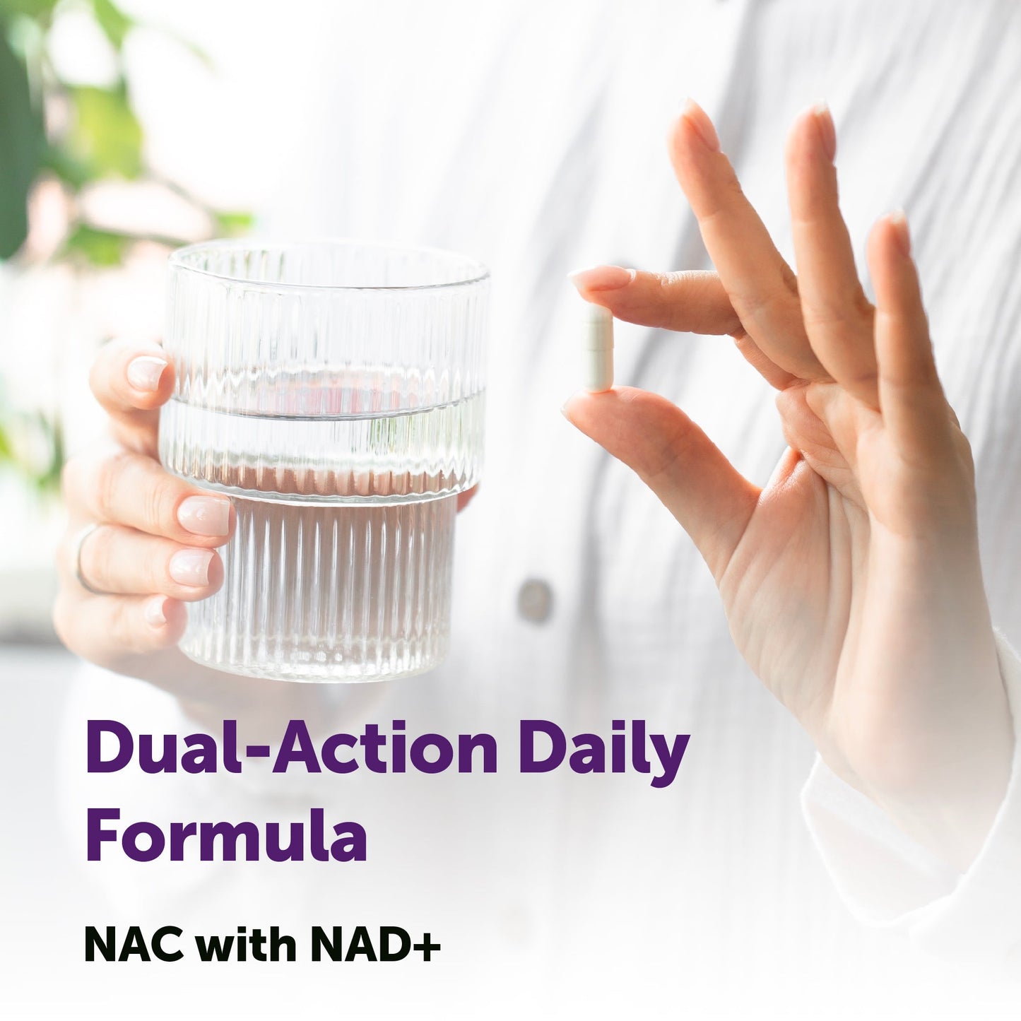 Micro Ingredients NAC with NAD+ 600mg, 240 Vegetarian Capsules