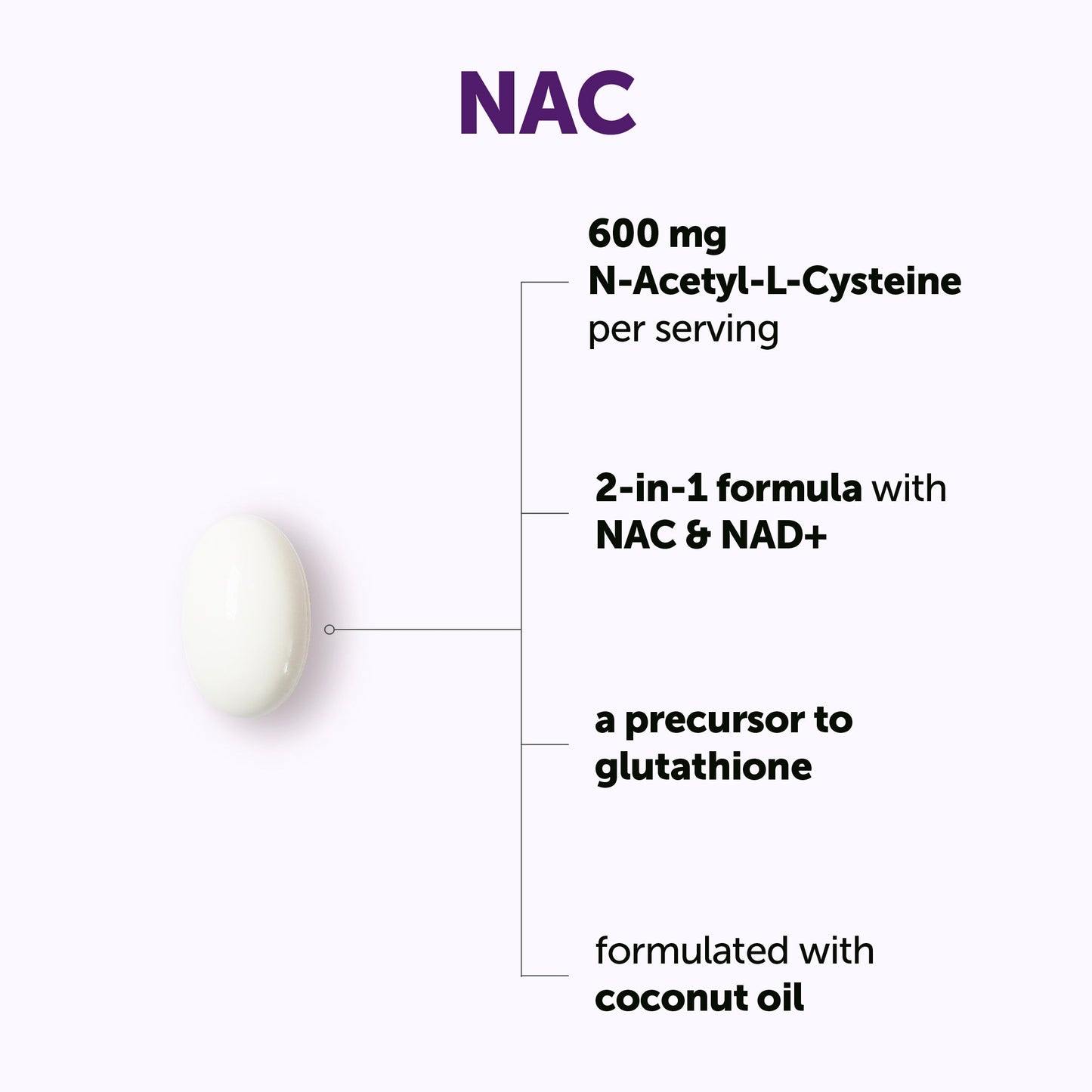 Micro Ingredients NAC 600mg with NAD+, N-Acetyl L-Cysteine + Nicotinamide + MCT Oil, Cellular Energy & Antioxidant Support
