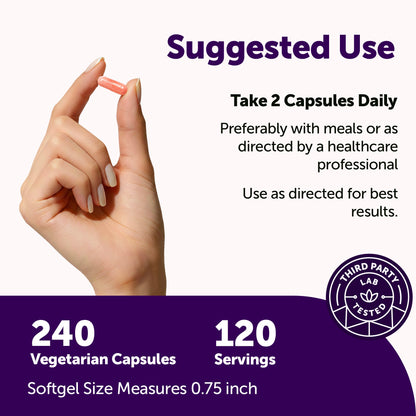 Micro Ingredients PQQ 40mg 3-in-1 Complex, 240 Vegetarian Capsules