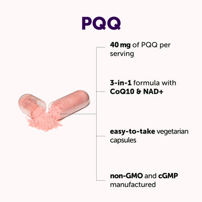 Micro Ingredients PQQ 40mg 3-in-1 Complex, 240 Vegetarian Capsules