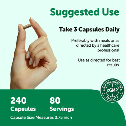 Micro Ingredients Rhodiola Rosea Complex 3000mg, 240 Vegetarian Capsules