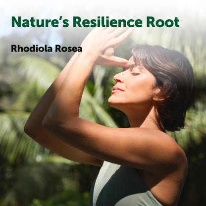 Micro Ingredients Rhodiola Rosea Complex 3000mg, 240 Vegetarian Capsules