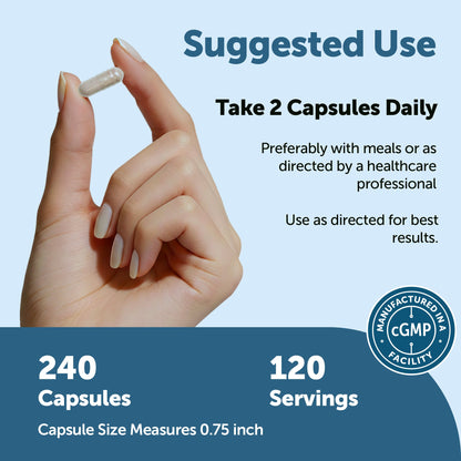 Micro Ingredients Zinc 11-in-1 Complex for Men, 240 Capsules