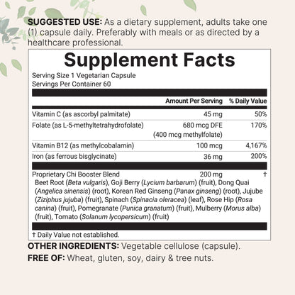 Micro Ingredients Blood Booster + | 60 Veggie Capsules | 14-in-1 Iron Supplement