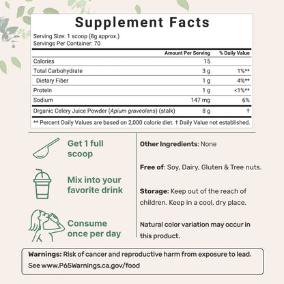 Micro Ingredients Organic Celery juice Powder