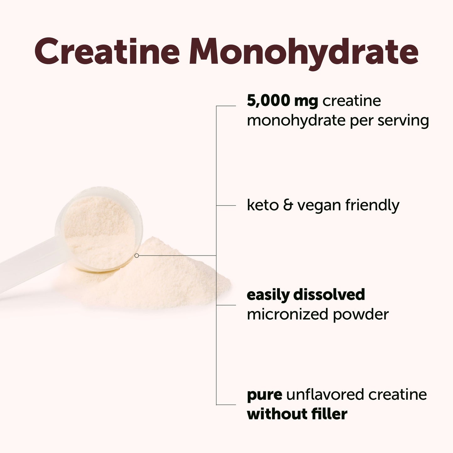 Micro Ingredients Micronized Creatine Monohydrate Powder - Unflavored