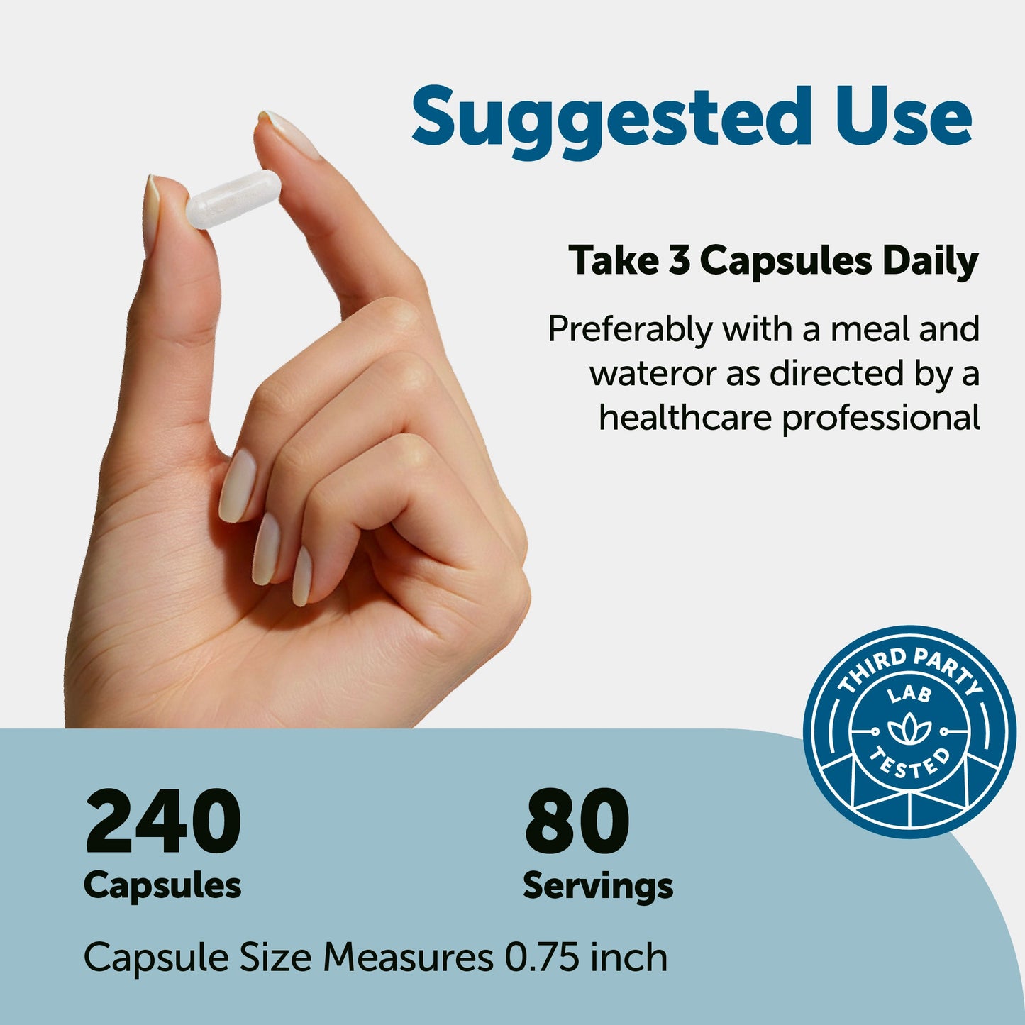 Micro Ingredients DHEA Micronized 100mg, 240 Capsules