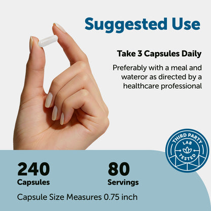 Micro Ingredients DHEA Micronized 100mg, 240 Capsules