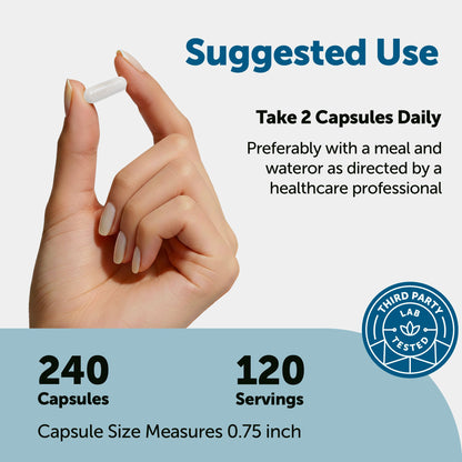 Micro Ingredients DHEA Micronized 50mg, 240 Capsules