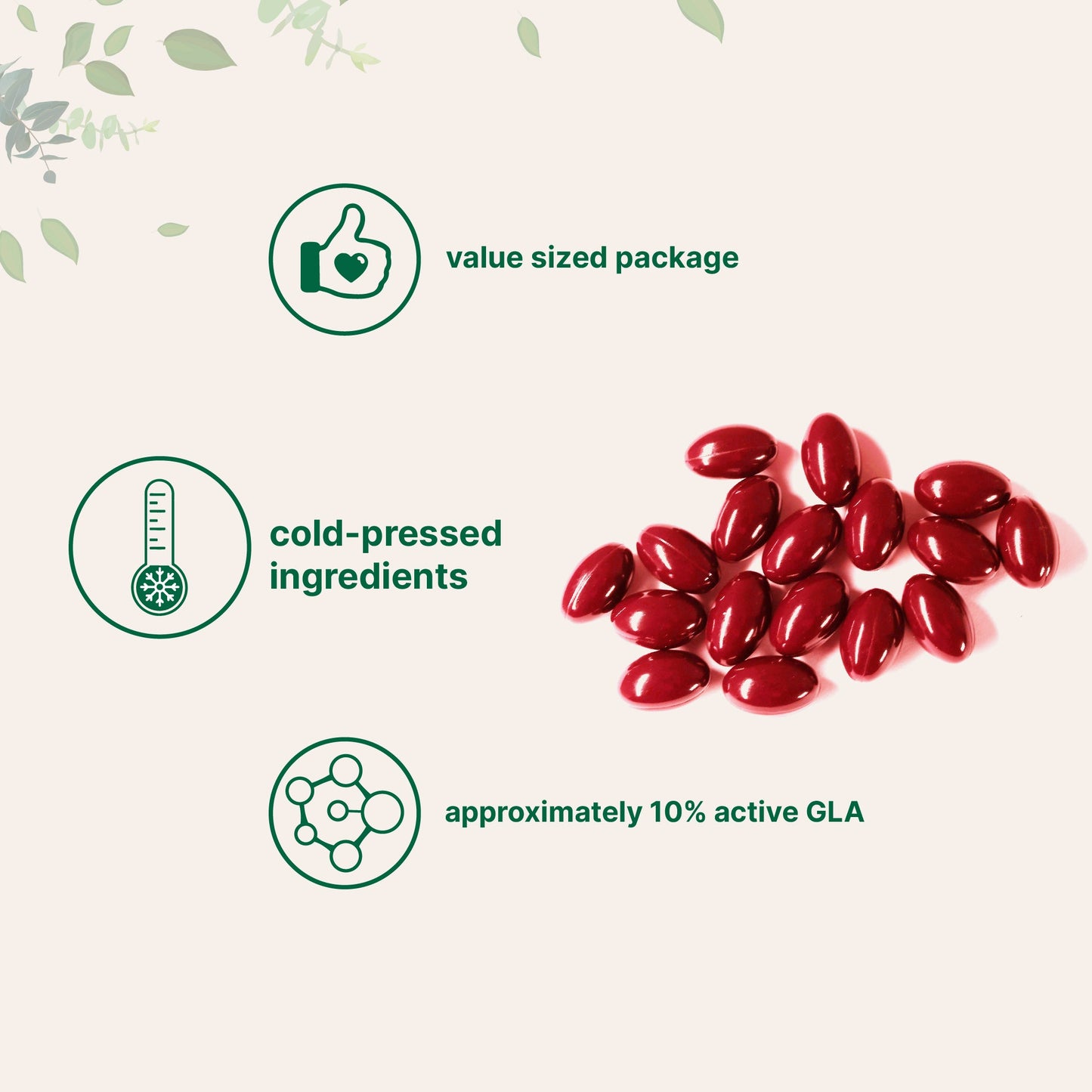 Micro Ingredients Evening Primrose Oil Softgels