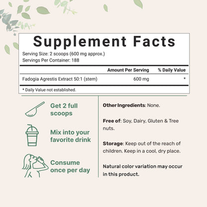 Micro Ingredients Fadogia Agrestis 50:1 Stem Extract Powder, 4oz