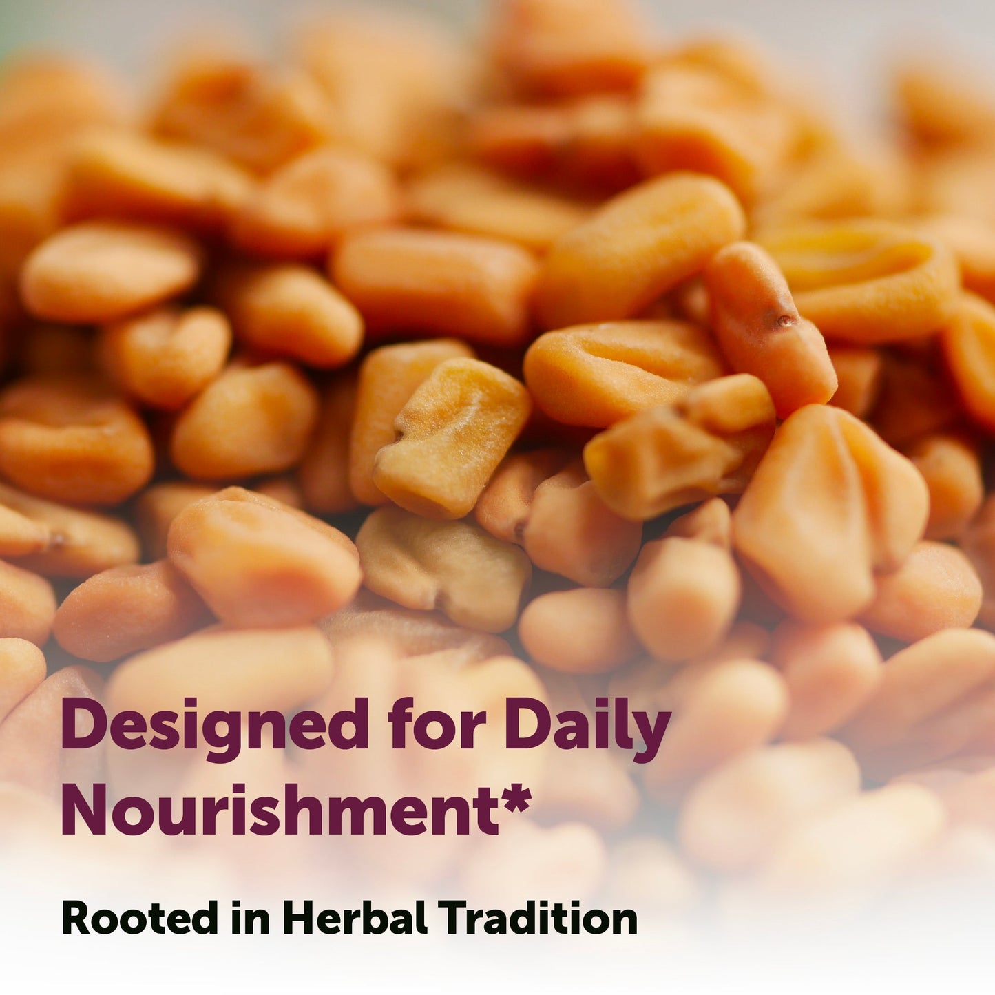 Micro Ingredients Fenugreek with Sunflower Lecithin, 360 Coconut Oil Softgels