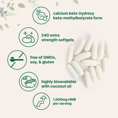 Micro Ingredients HMB 1,000mg, 240 Softgels with Coconut Oil, Highly Bioavailable