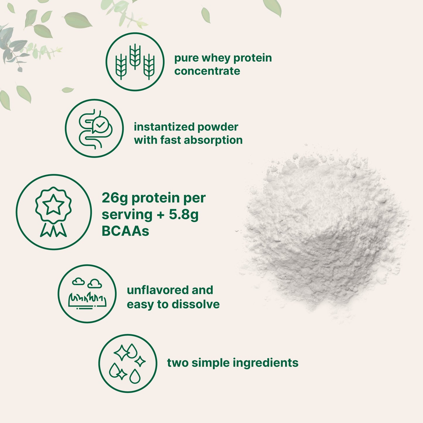 Micro Ingredients Instant Whey Protein Powder Concentrate, 2lbs