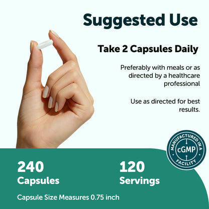 Micro Ingredients L-Tyrosine 1000mg, 240 capsules