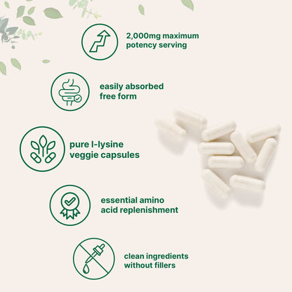 Micro Ingredients Pure L-Lysine 2,000mg, 300 Veggie Capsules
