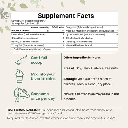 Micro Ingredients Organic Mega 10 mushroom Powder