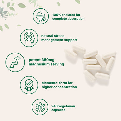 Micro Ingredients Magnesium Glycinate 350mg Per Serving, 240 Veggie Capsules