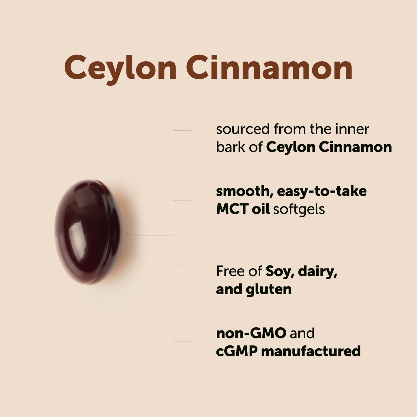Micro Ingredients Ceylon Cinnamon, 300 Softgels with MCT Oil