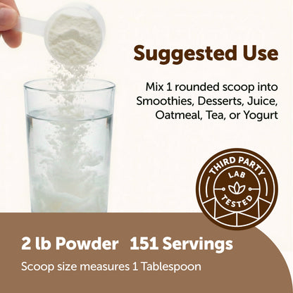 Micro Ingredients Organic Coconut Milk Powder
