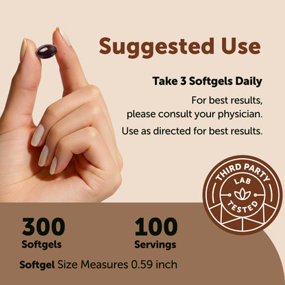 Micro Ingredients Ceylon Cinnamon, 300 Softgels with MCT Oil