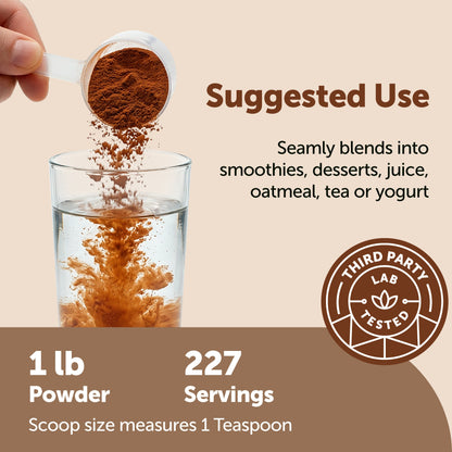 Micro Ingredients Organic Ceylon Cinnamon Powder