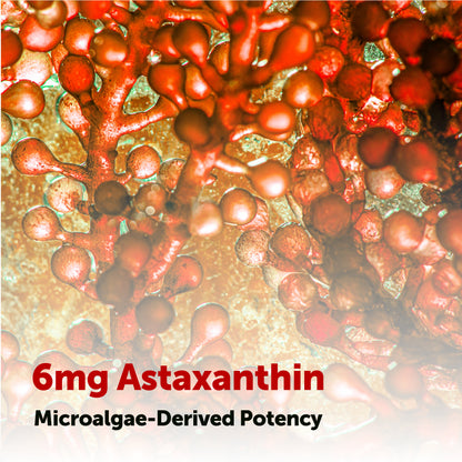 Micro Ingredients Astaxanthin 6mg with MCT Oil Softgels