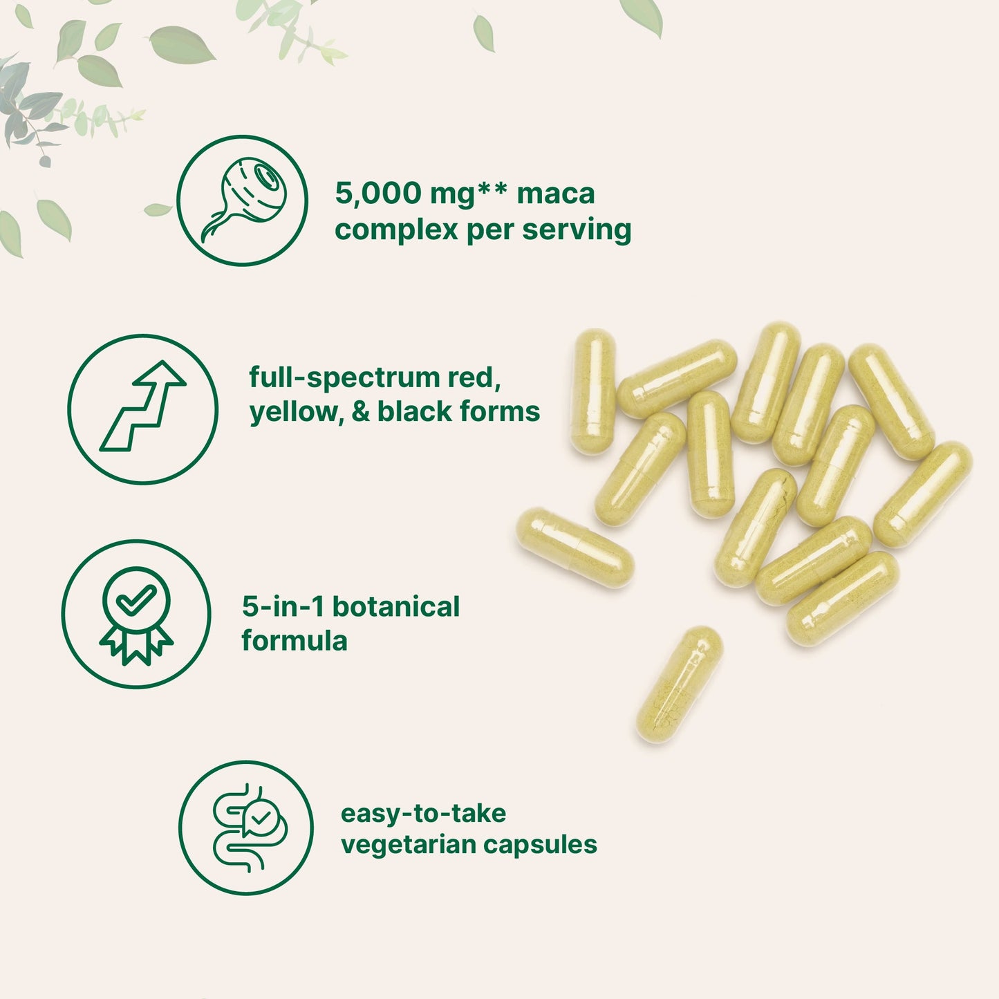 Micro Ingredients Maca Root for Women and Men, 240 Veggie Capsules