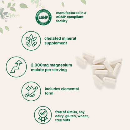 Micro Ingredients Magnesium Malate 2,000mg, 240 Capsules